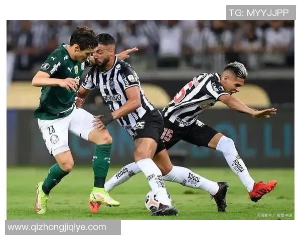 弗鲁米嫩与桑托斯足球比赛前瞻及比分预测分析