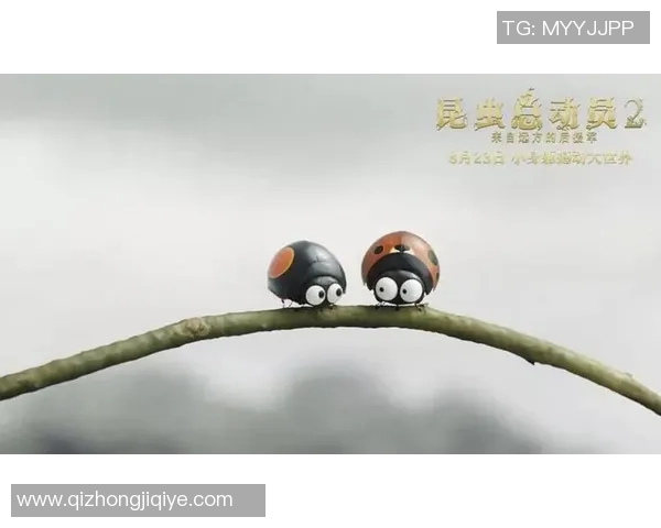 回归成谜，这位头号外接丢失已超2000万！